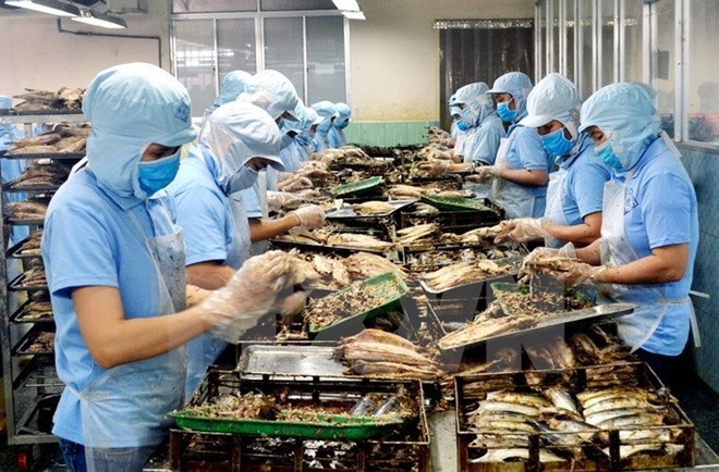 附圖：2018年前兩月越南水產(chǎn)品出口額同比增長近30%。（圖片來源：越通社）